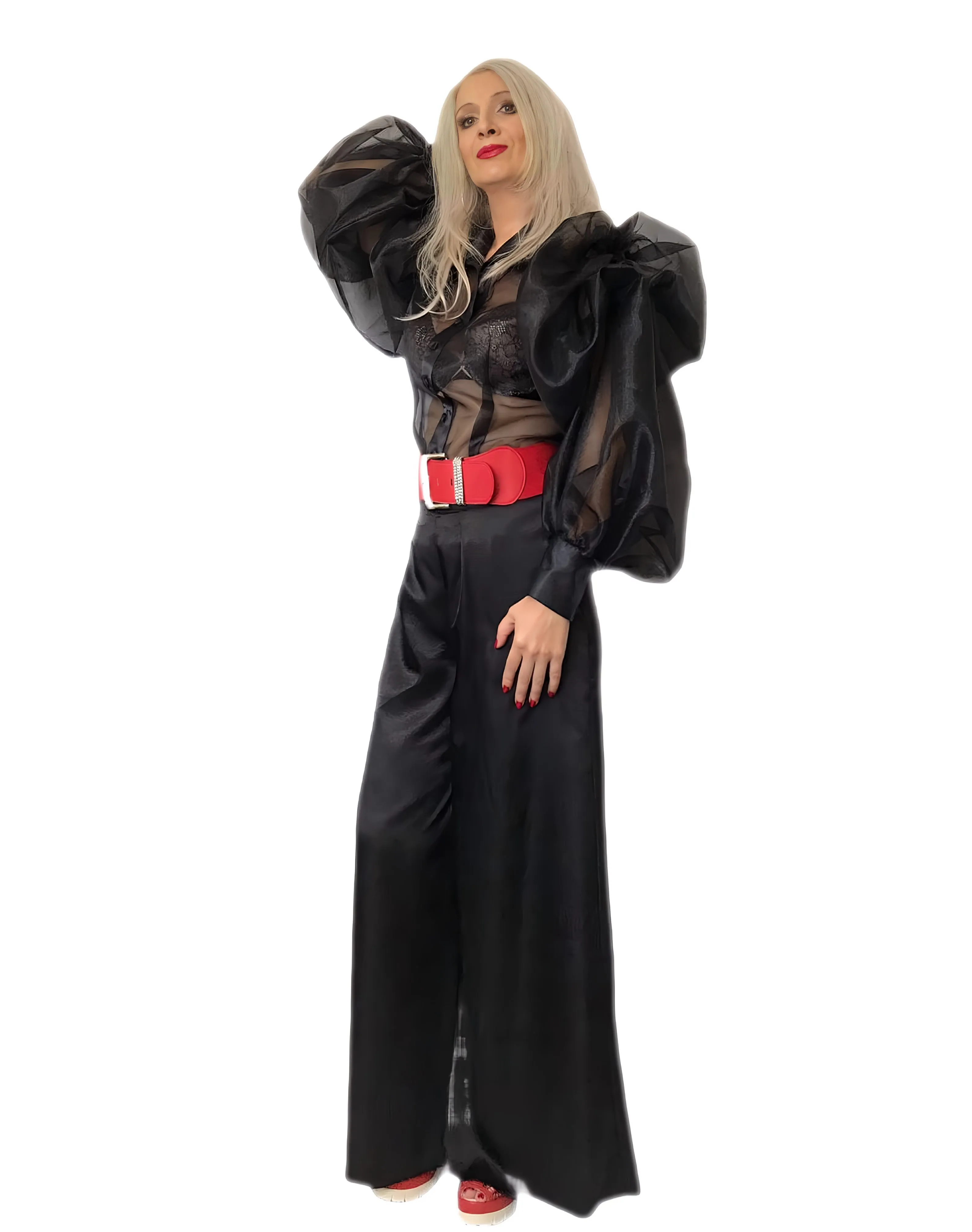 Sheer Ruched Sleeve Organza & Satin  Bow Blouse